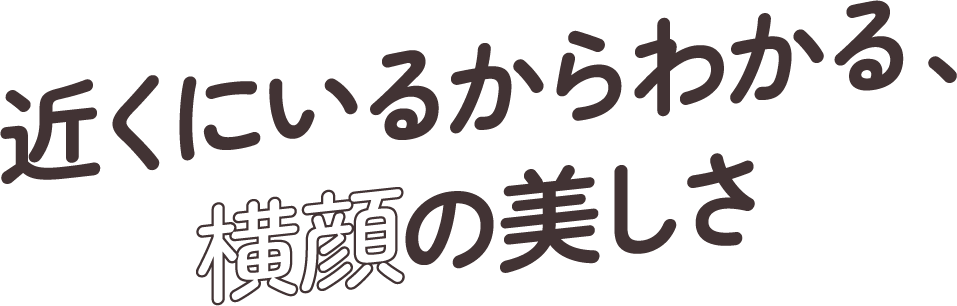 近くにいるからわかる、横顔の美しさ